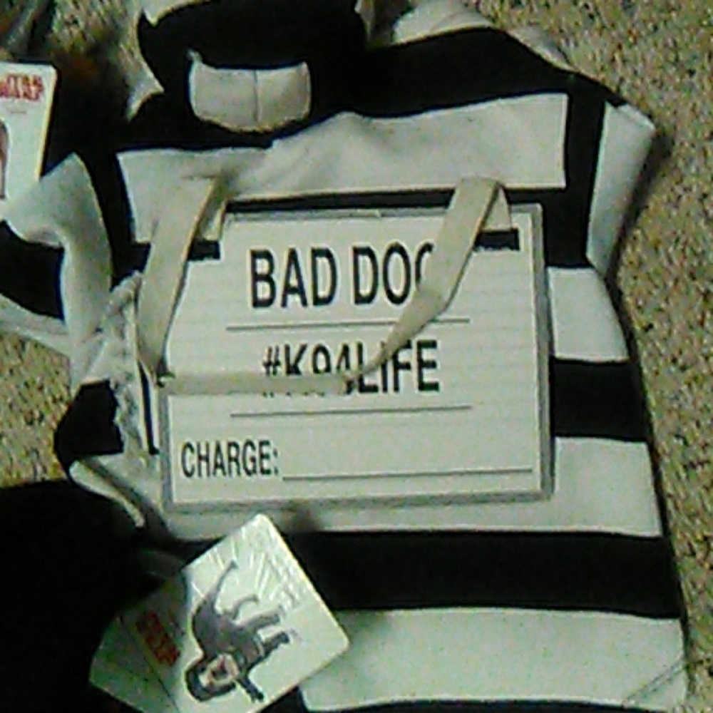 Doggy costumes
